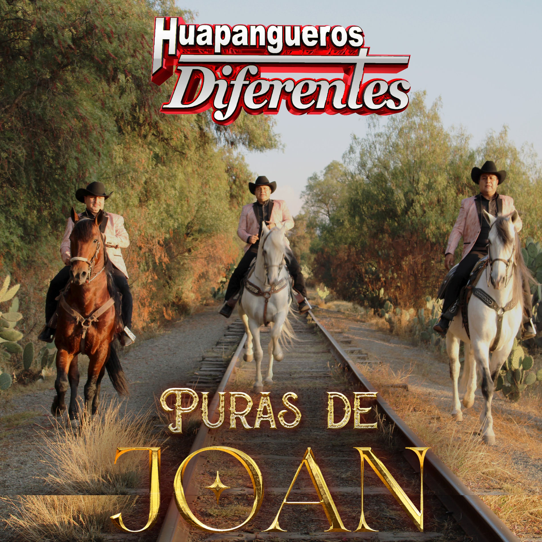 Album cover of Puras de Joan