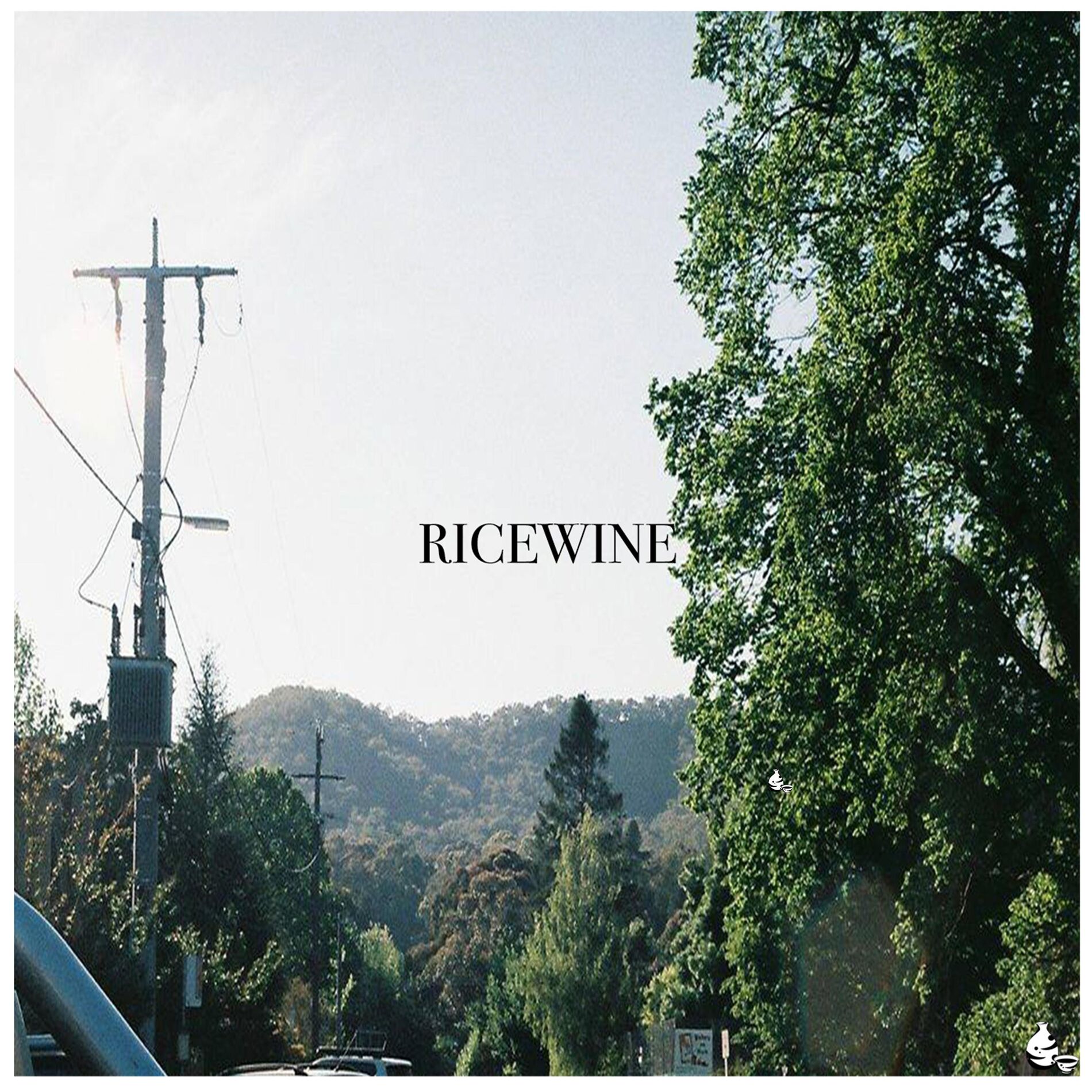 Album cover of Flood