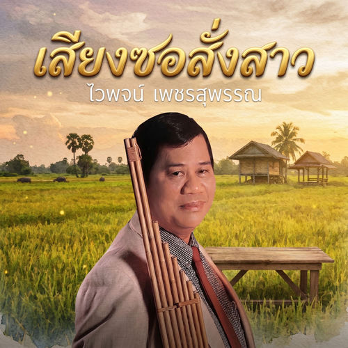 เสียงซอสั่งสาว