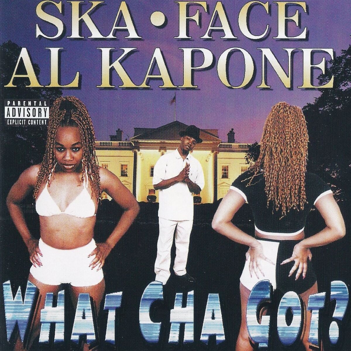 Album cover of Definition Of A Hater