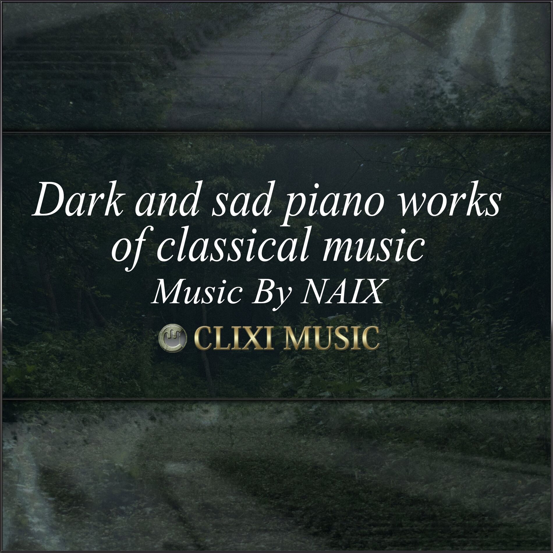 Dark and sad piano works of classical music NAIX Deezer