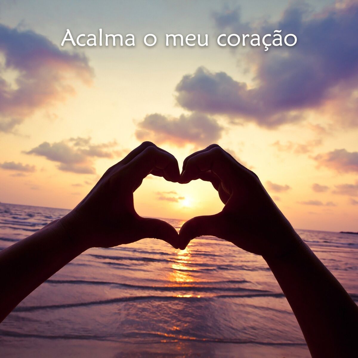 Album cover of Acalma o meu coração