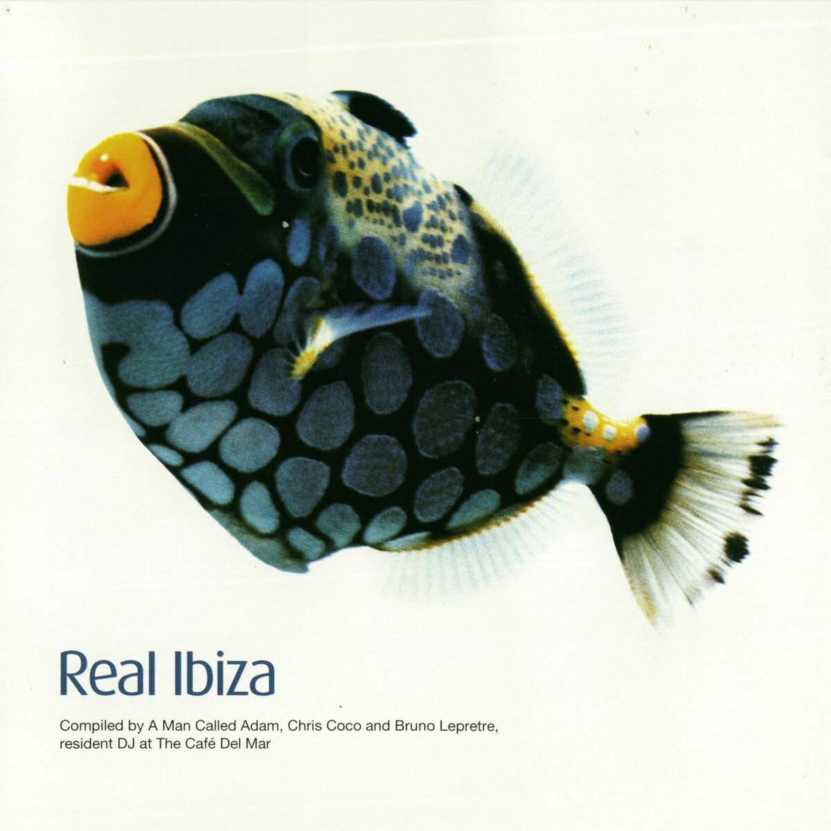 Album cover of Real Ibiza Volume 1