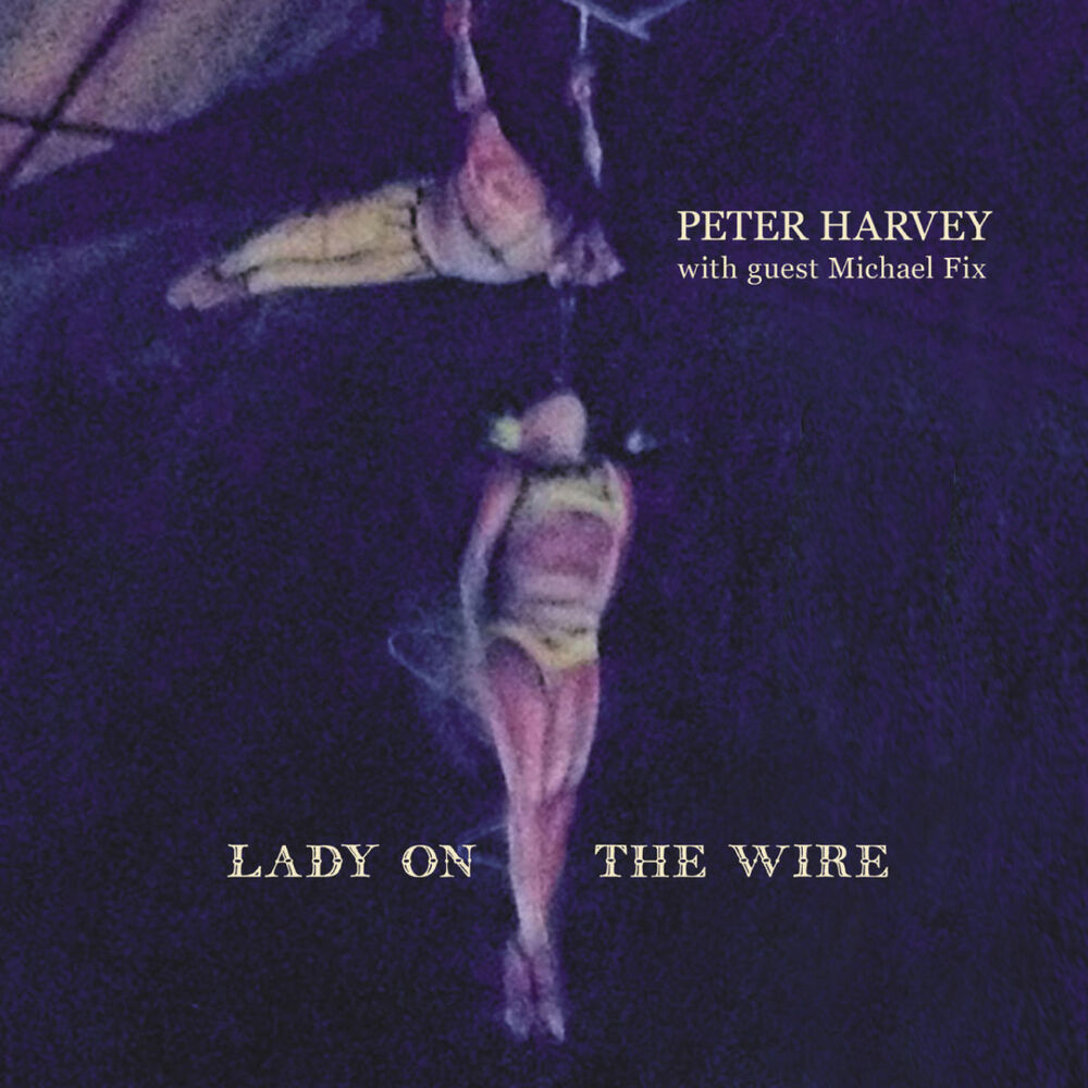 Picture of Lady On The Wire