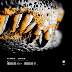 Cover of Absolute Consequences