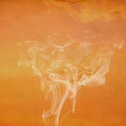 Cover of Morose