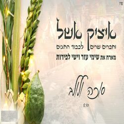 Cover of סוכה ולולב