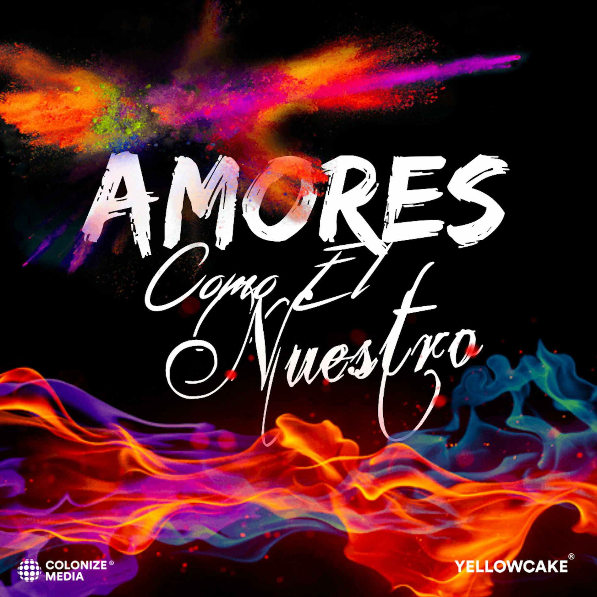 Album cover of Amores Como El Nuestro