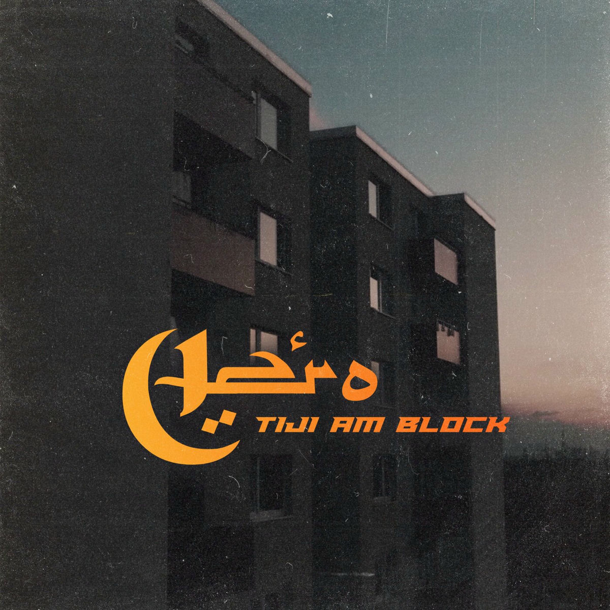Album cover of Tiji am Block