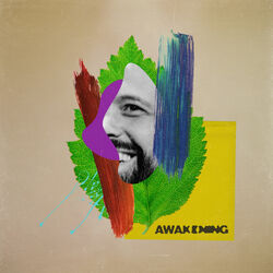 Cover of Awakening