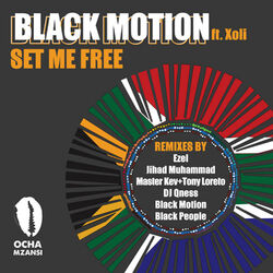 Cover of Set Me Free - Remixes