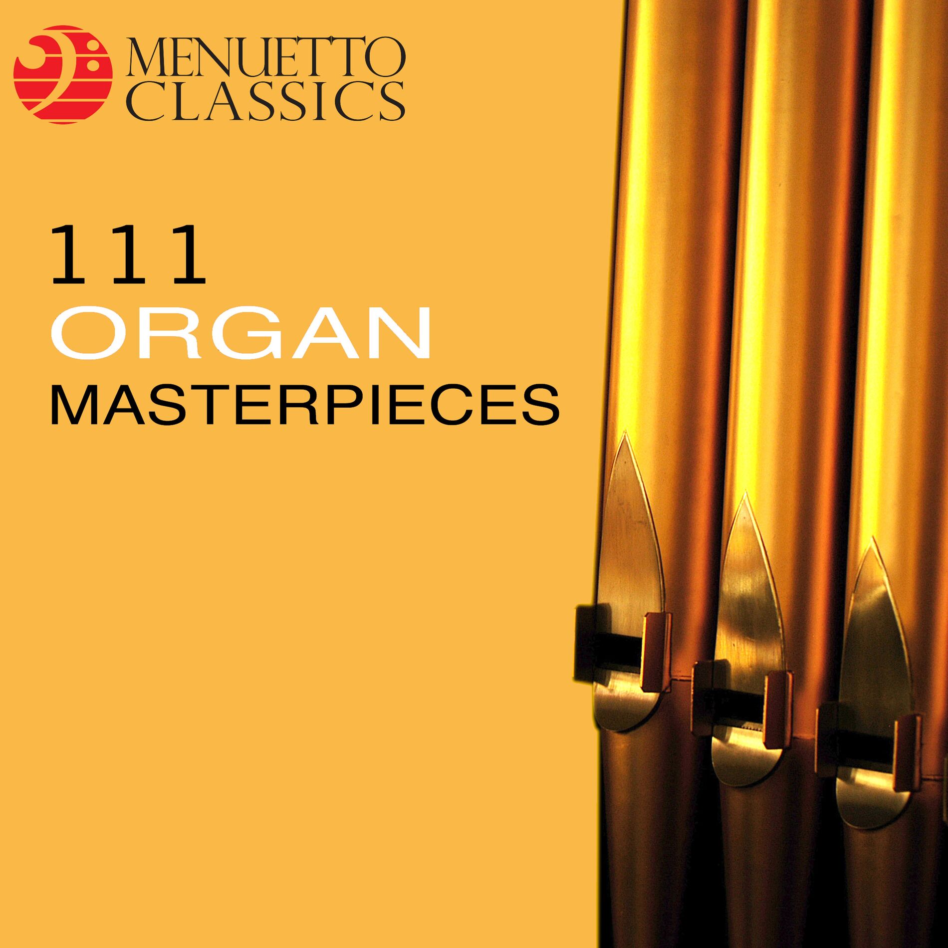 Album cover of 111 Organ Masterpieces