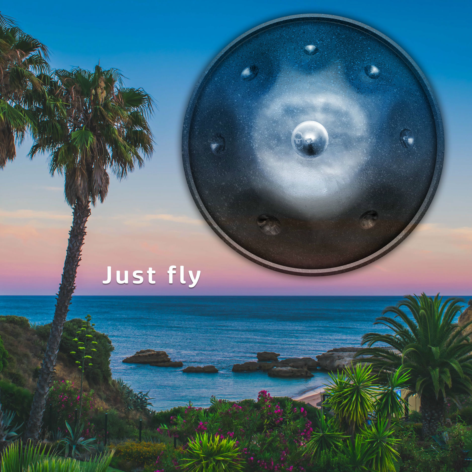 Album cover of Just fly
