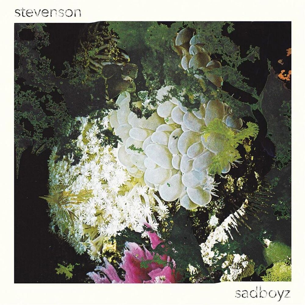 Picture of Sadboyz