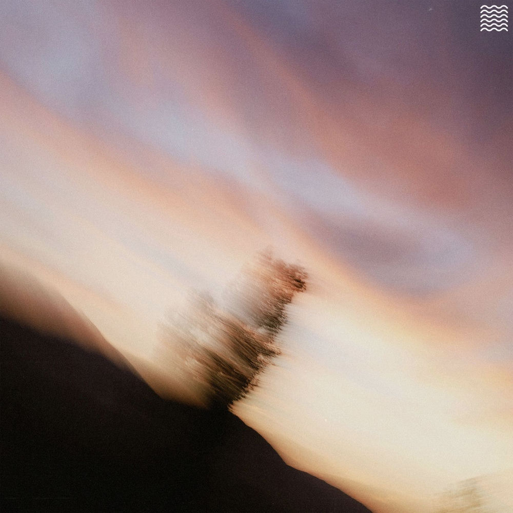 the soft collapse of night