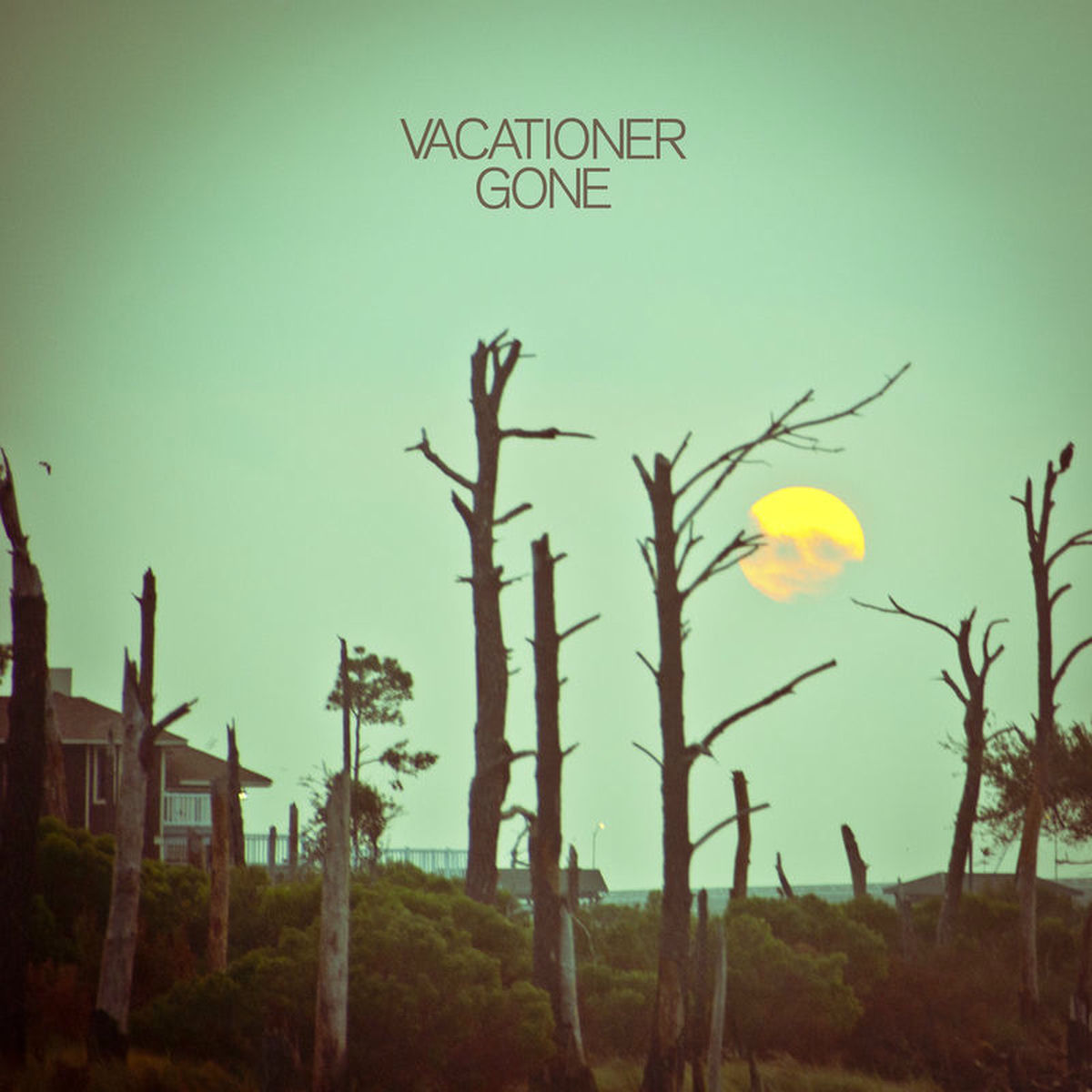 Album cover of Gone
