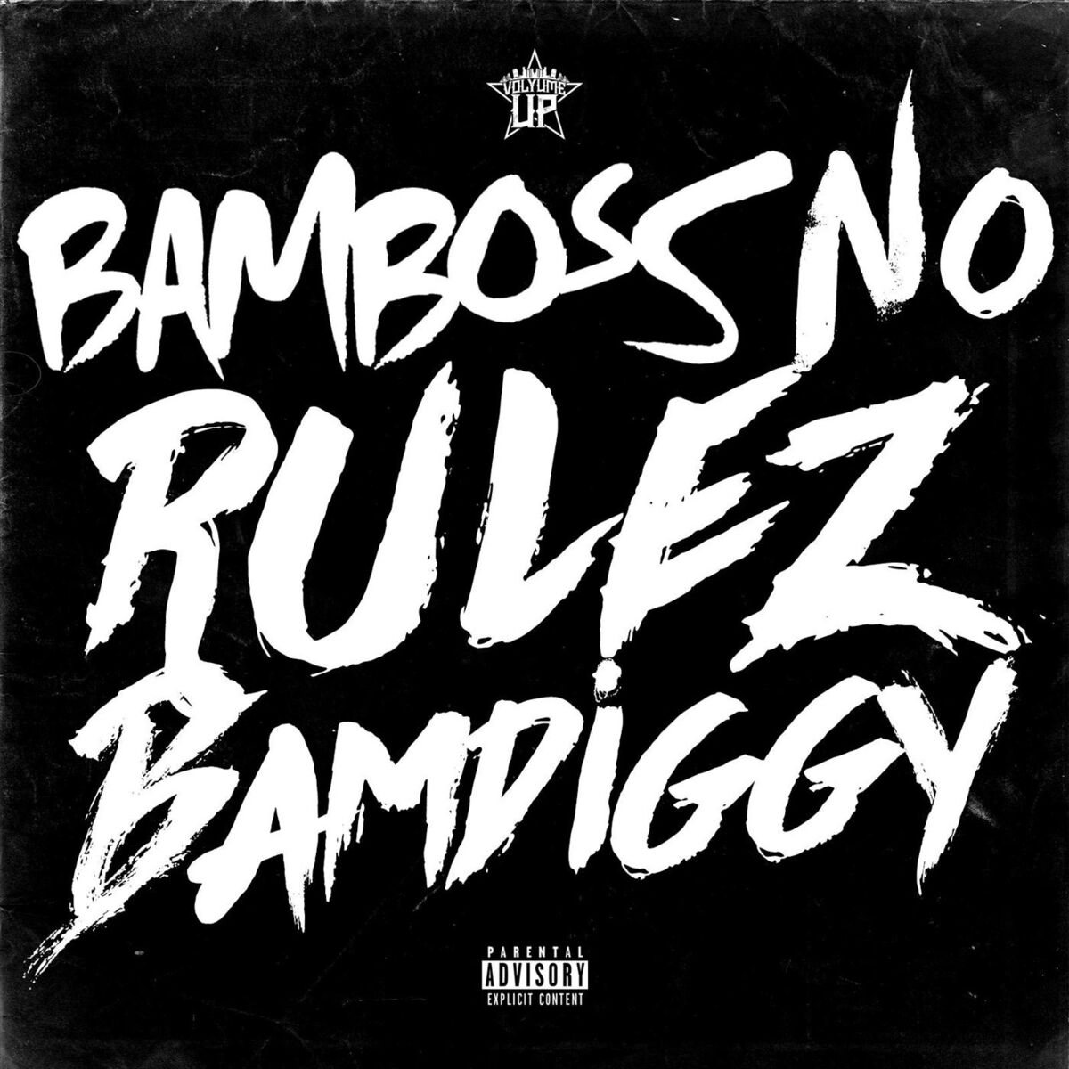 Album cover of No Rulez Bamdiggy