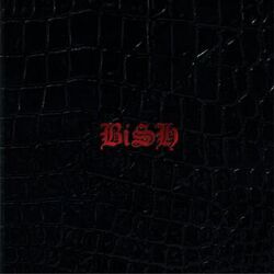 Cover of stereo future