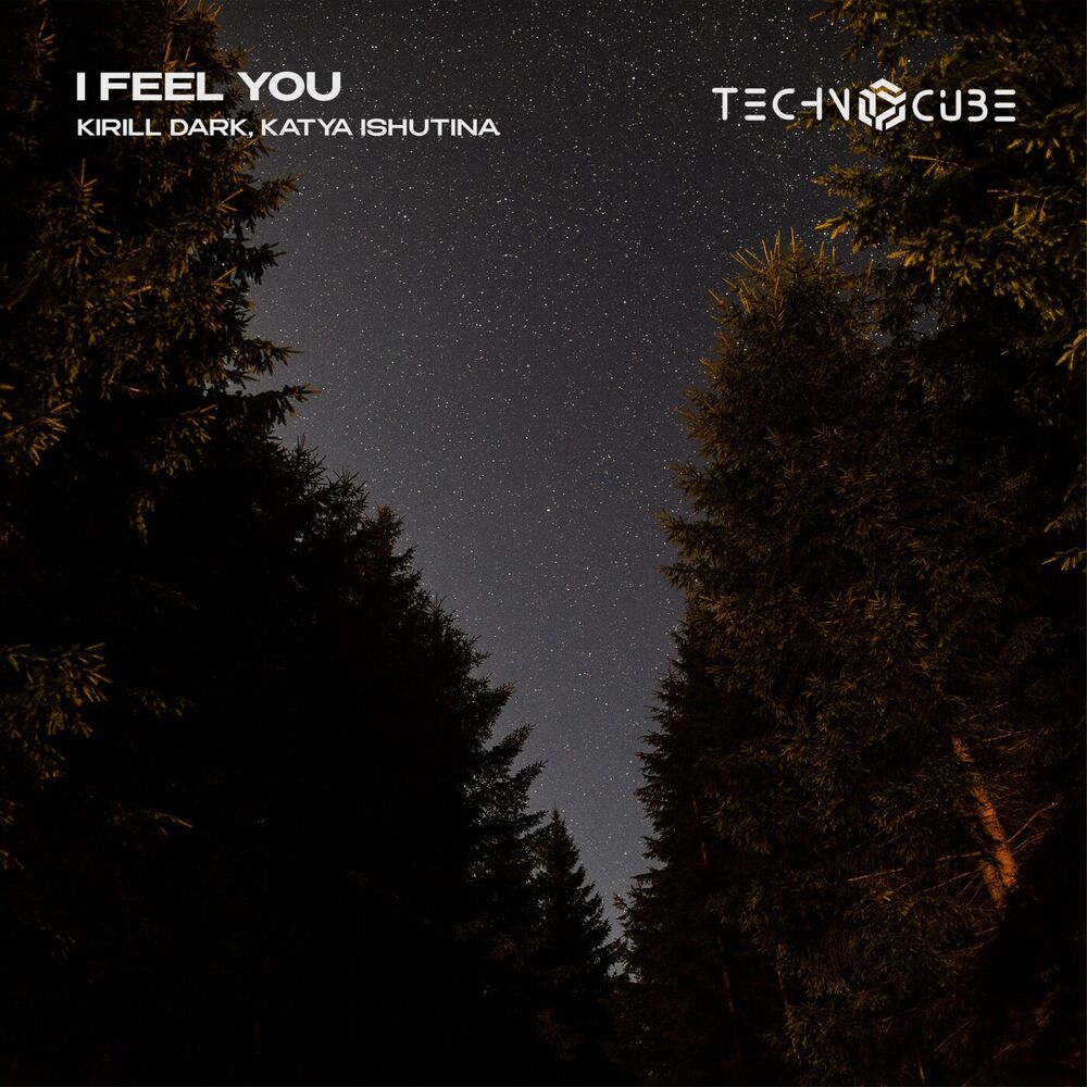 Picture of I Feel You