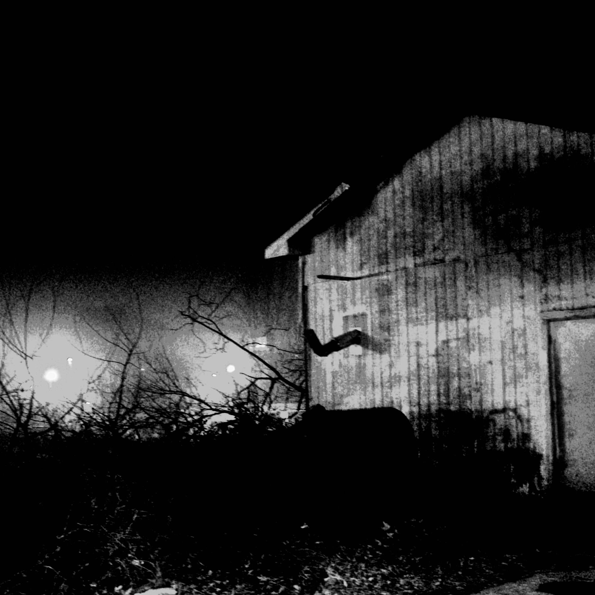 Album cover of rot.