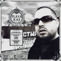 Cover of Dayz Like This