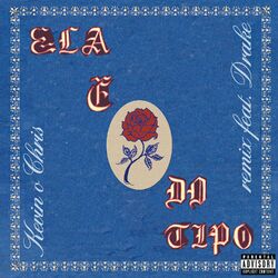 Cover of Ela É do Tipo (feat. Drake) [Remix]
