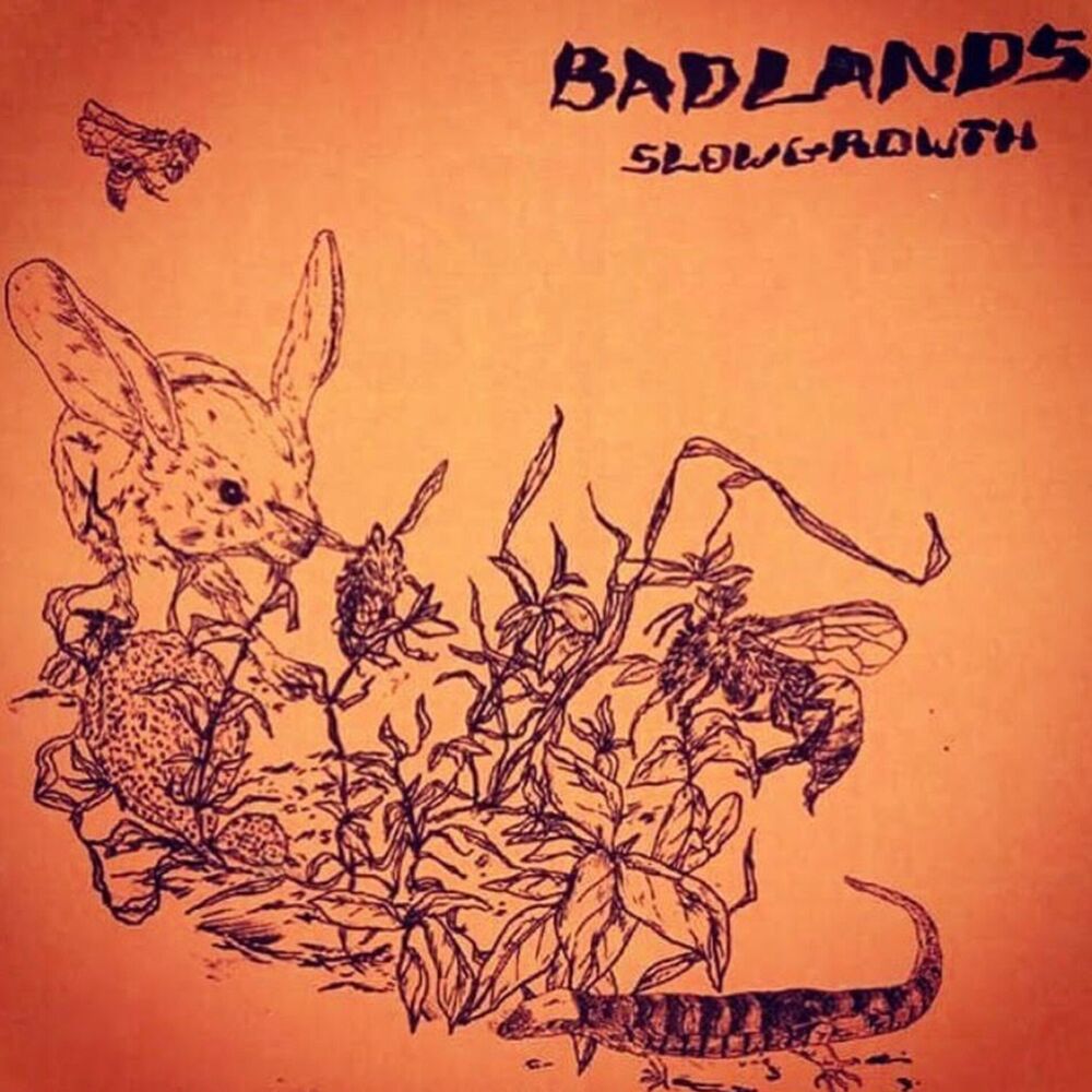 Picture of Badlands Slow Growth