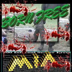Cover of BORN FREE