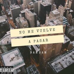 Cover of No me vuelve a pasar