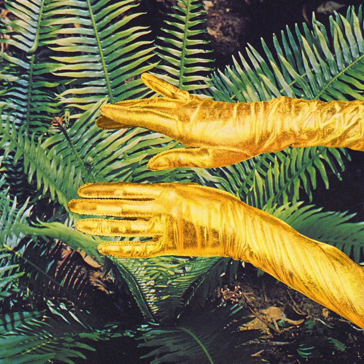 Album cover of Sensualista