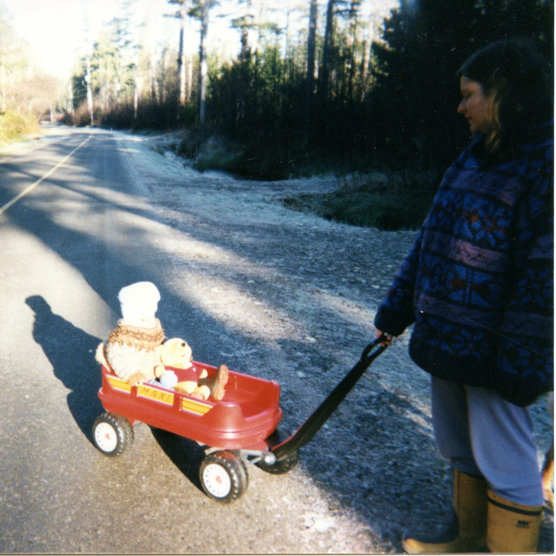 Album cover of The Woman You Are