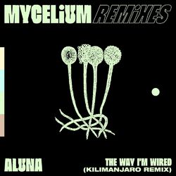Cover of The Way I’m Wired (KILIMANJARO Remix)