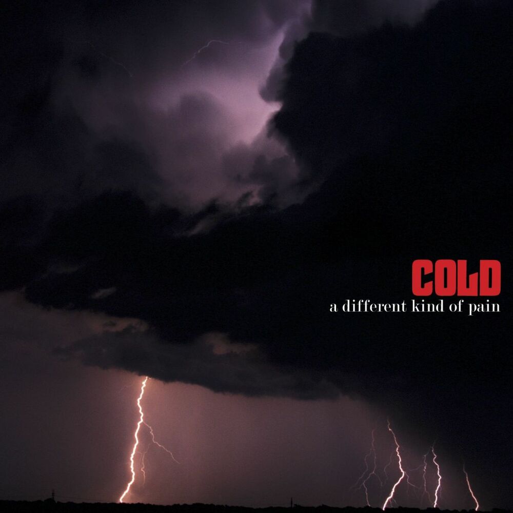 Picture of A Different Kind Of Pain (Domestic Version)