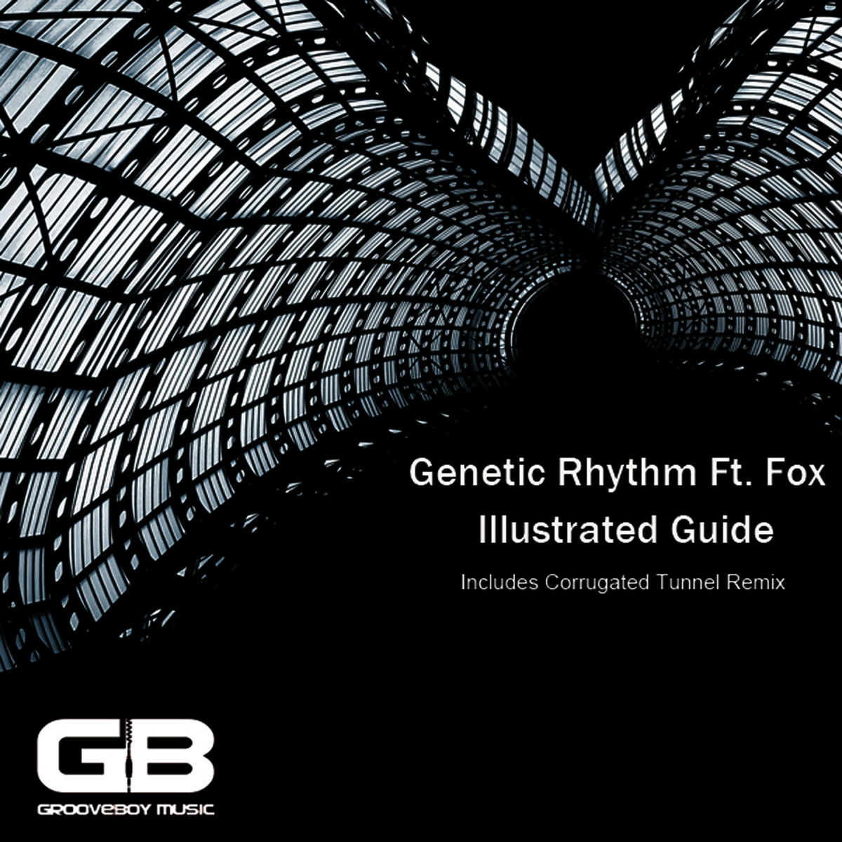 Album cover of Illustrated Guide