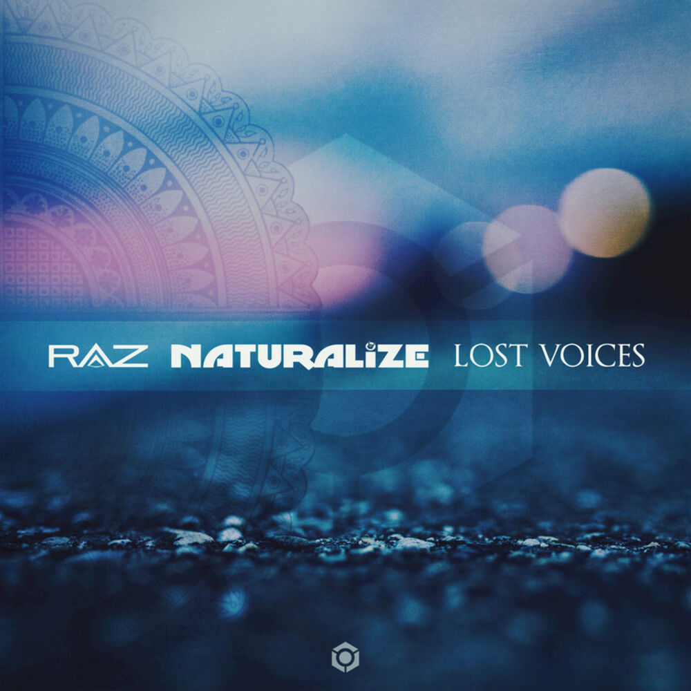 Picture of Lost Voices