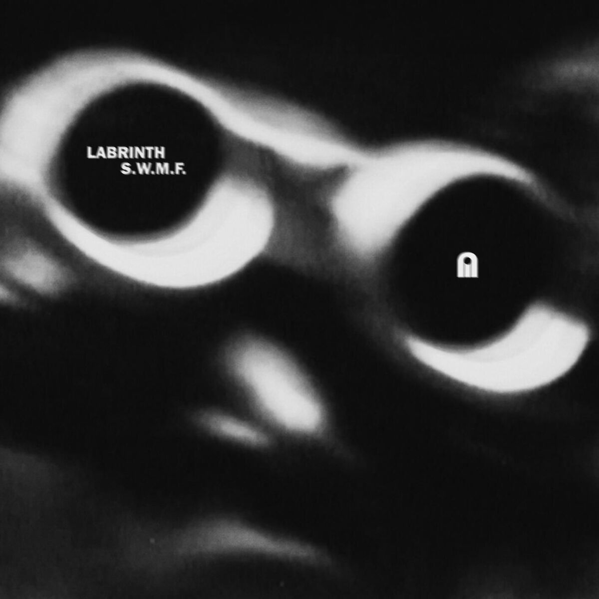Album cover of S.W.M.F.