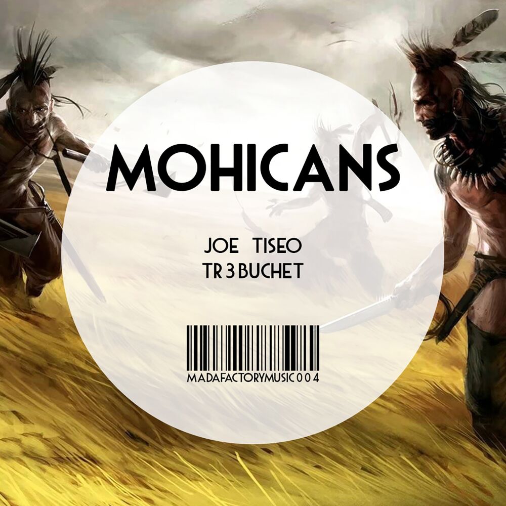Picture of Mohicans