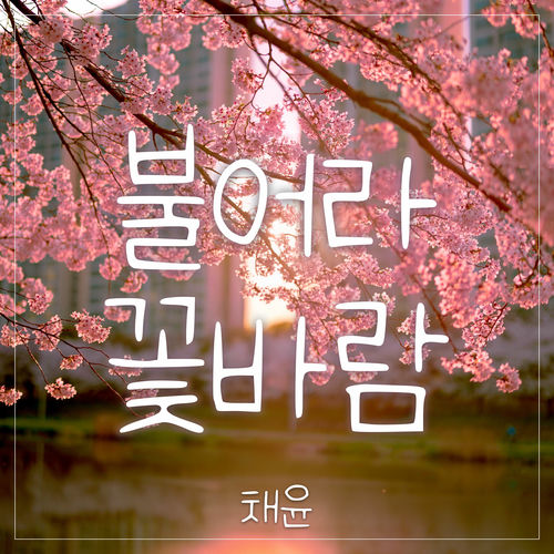 Chae Yoon – Blow, Flower breeze – Single