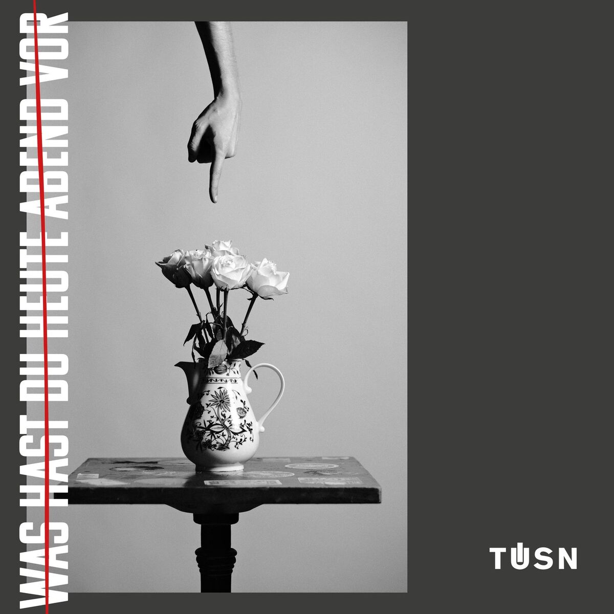 Album cover of Was hast du heute Abend vor