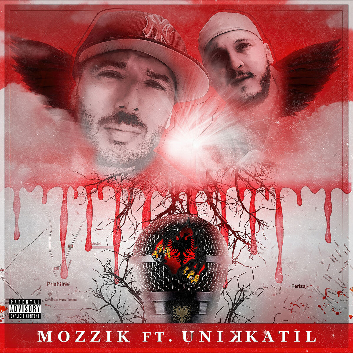 Album cover of SHQIPTAR
