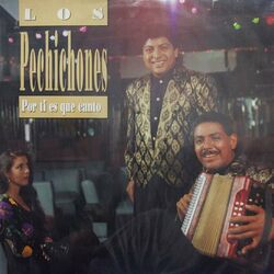 Cover of Por Ti Es Que Canto