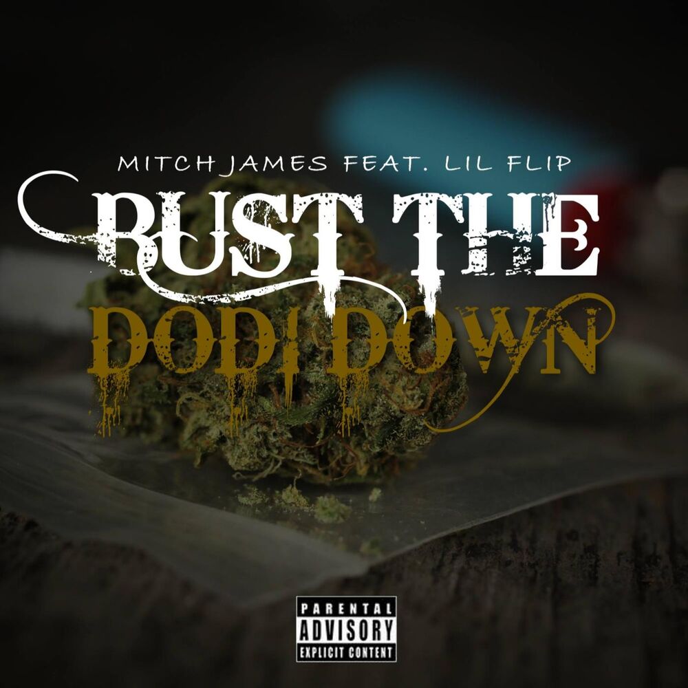 Picture of Bust the Dodi Down (feat. Lil Flip)