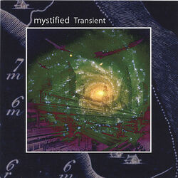 Cover of Transient