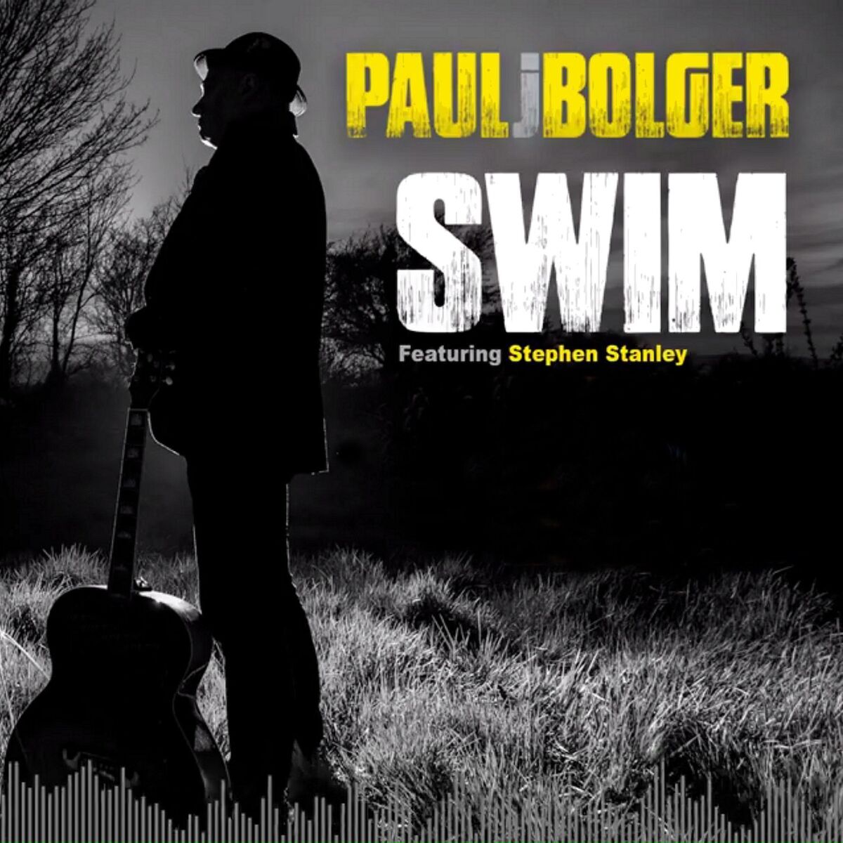 Album cover of Swim