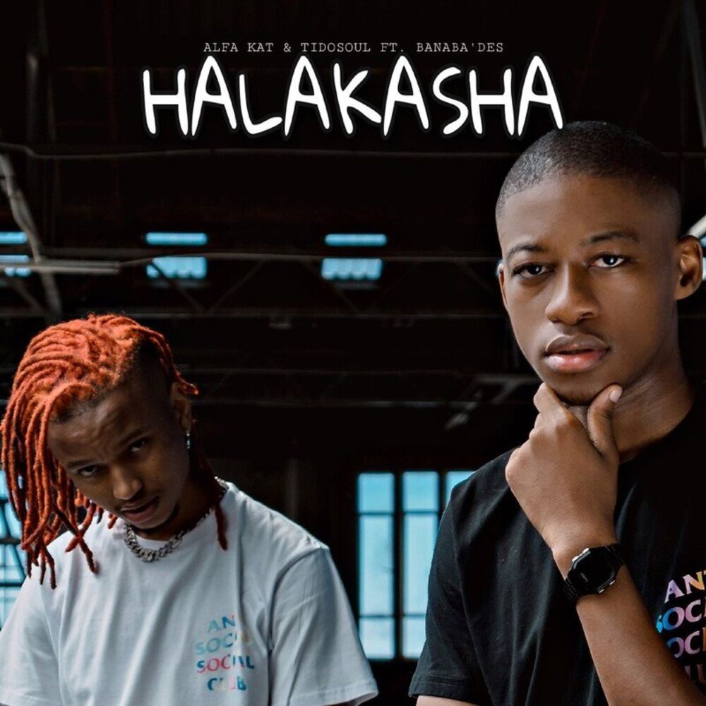 Picture of Halakasha