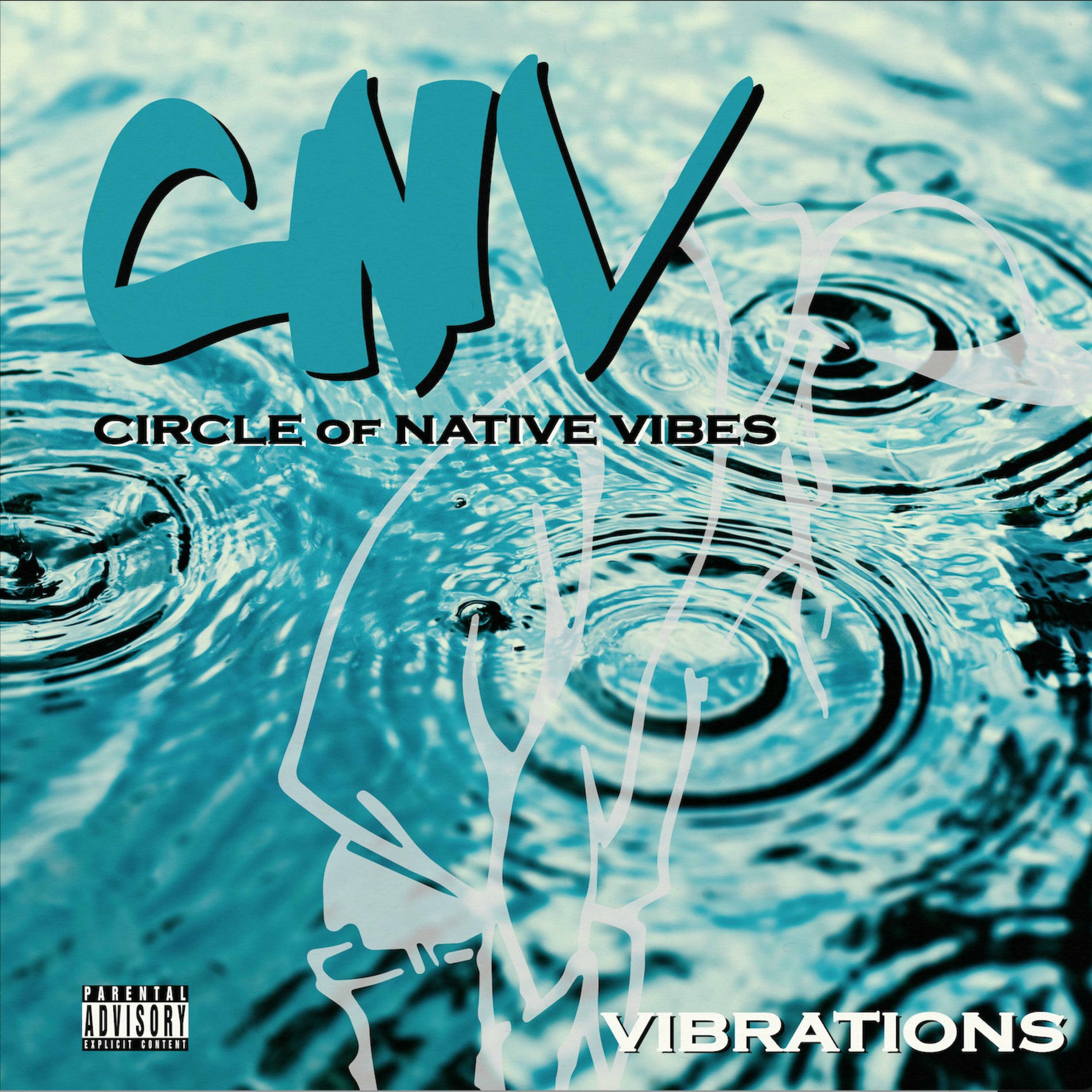 Album cover of VIBRATIONS