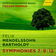 String Symphony No. 7 in D Minor, MWV N7: I. Allegro by Frieder Bernius album cover
