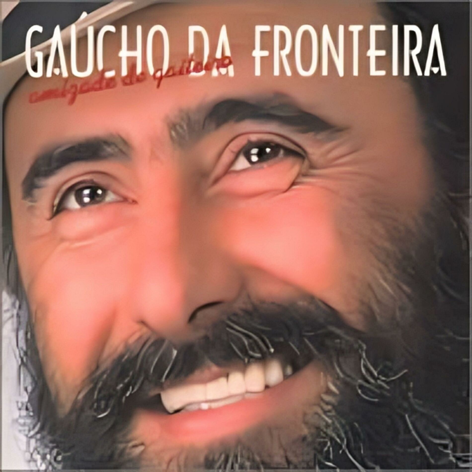 Album cover of Amizade de Gaiteiro