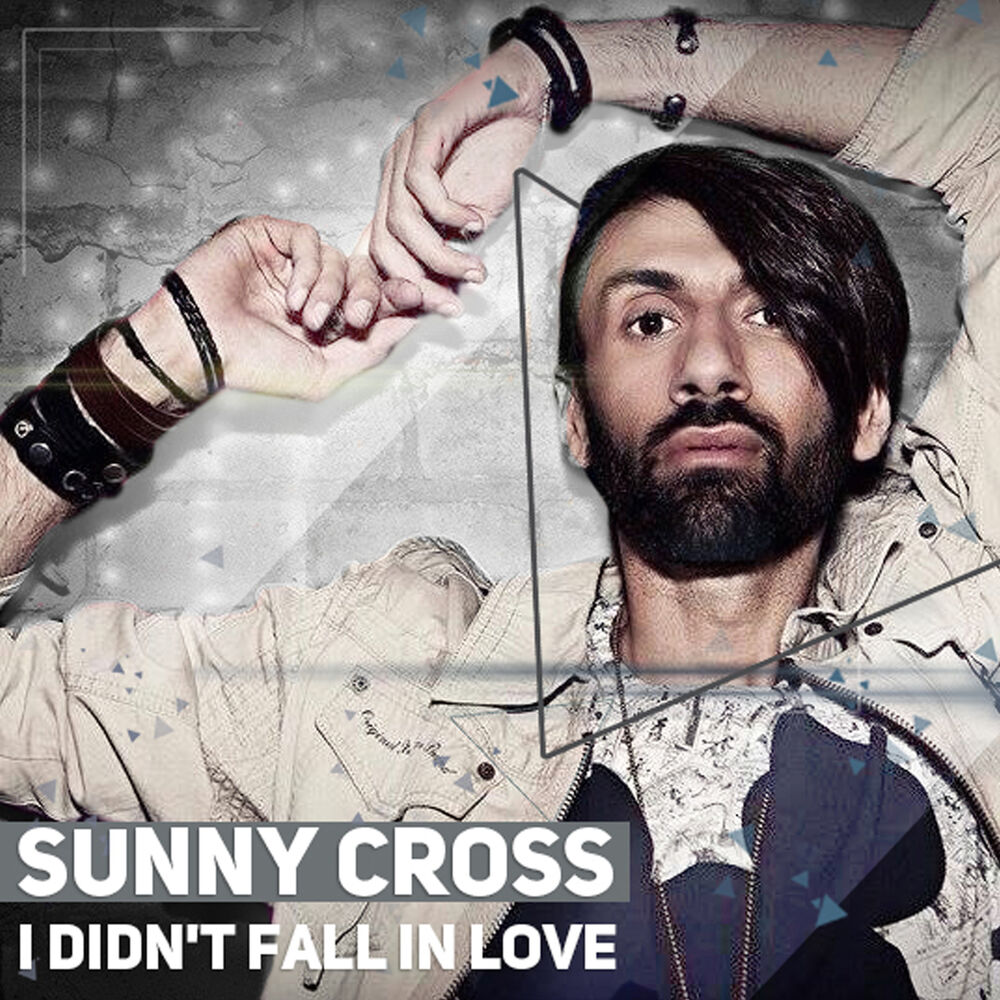 Picture of I Didn't Fall in Love