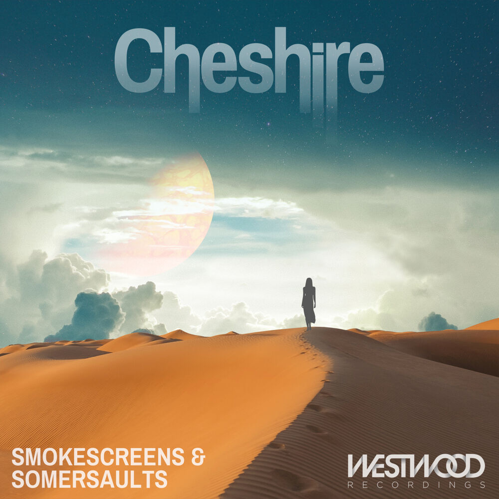Picture of Smokescreens & Somersaults
